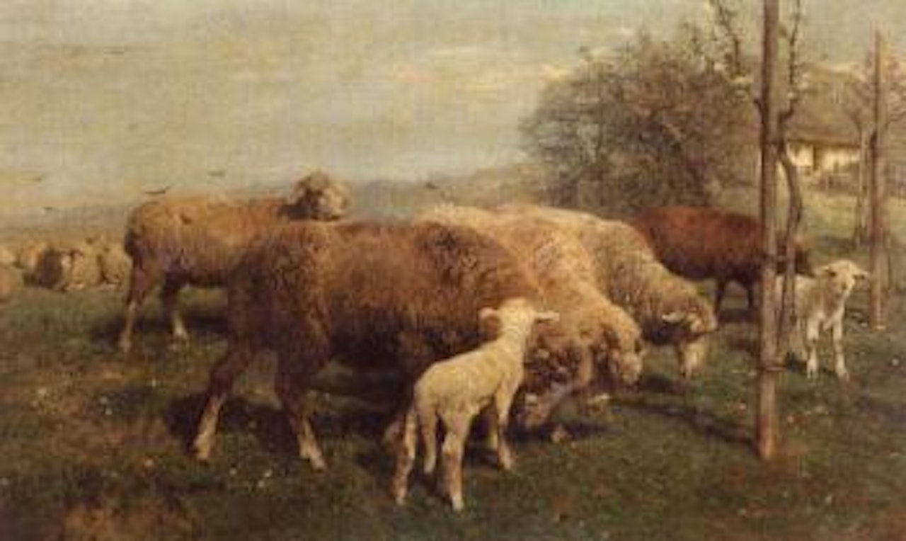 Schafe auf der Weide - Sheep in a pasture by Heinrich von Zugel