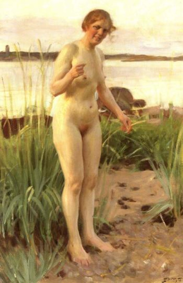 Girl from Smaland by Anders Zorn