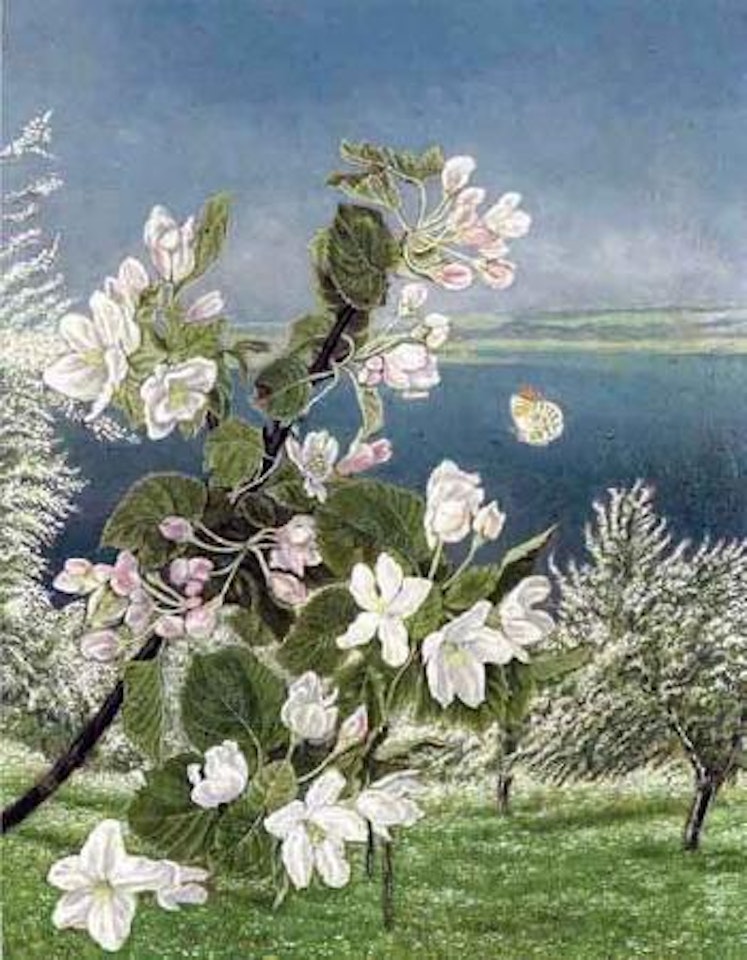 Apple blossom on a lakeside by Adolf Dietrich