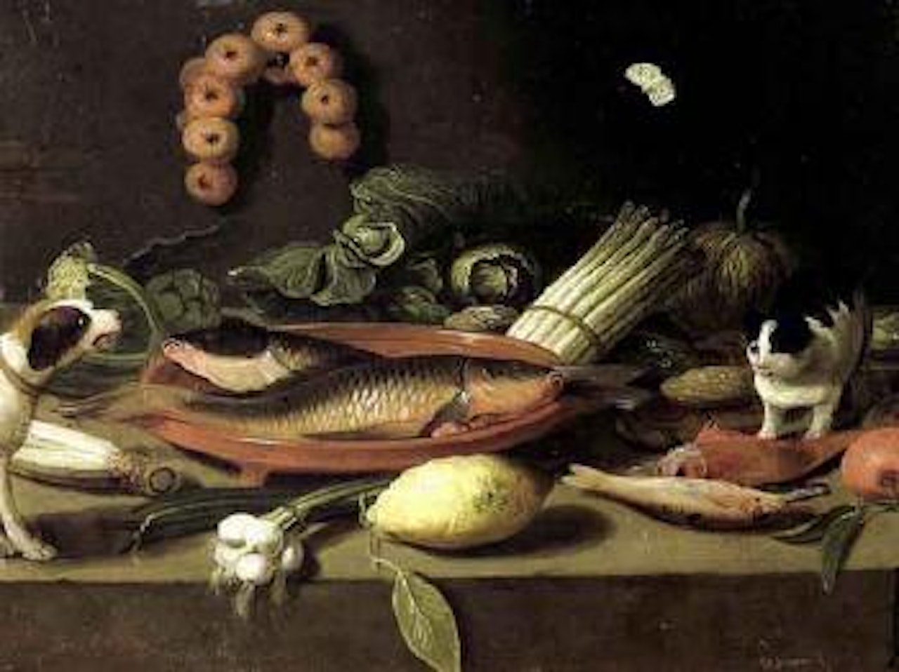 Still life with fish, cat and dog by Jan Van Kessel The Elder