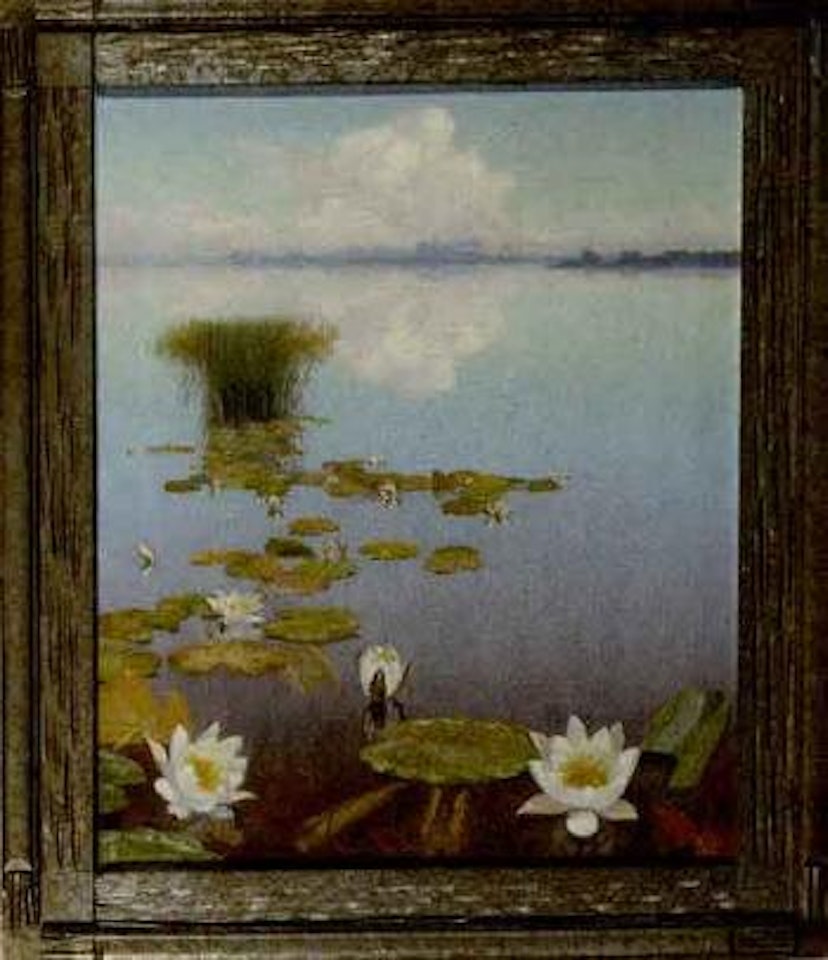 Waterlillies by Dirk Smoorenberg