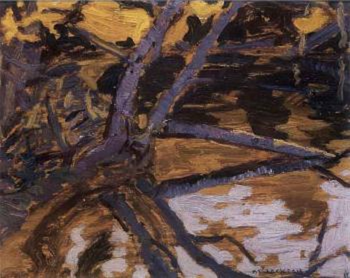 Mongoose Lake, Agawa Canyon, Algoma by Alexander Young Jackson