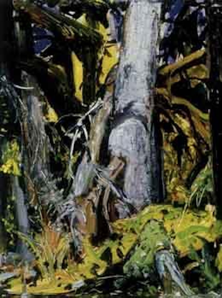 Forest tangle, BC by Arthur Lismer