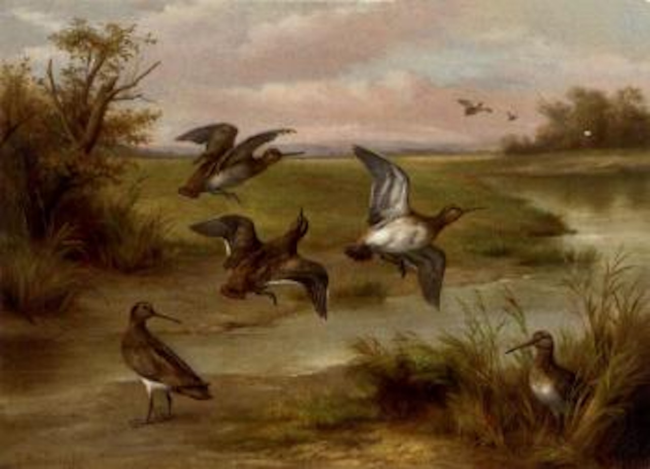 Snipe by a stream by Edgar Hunt