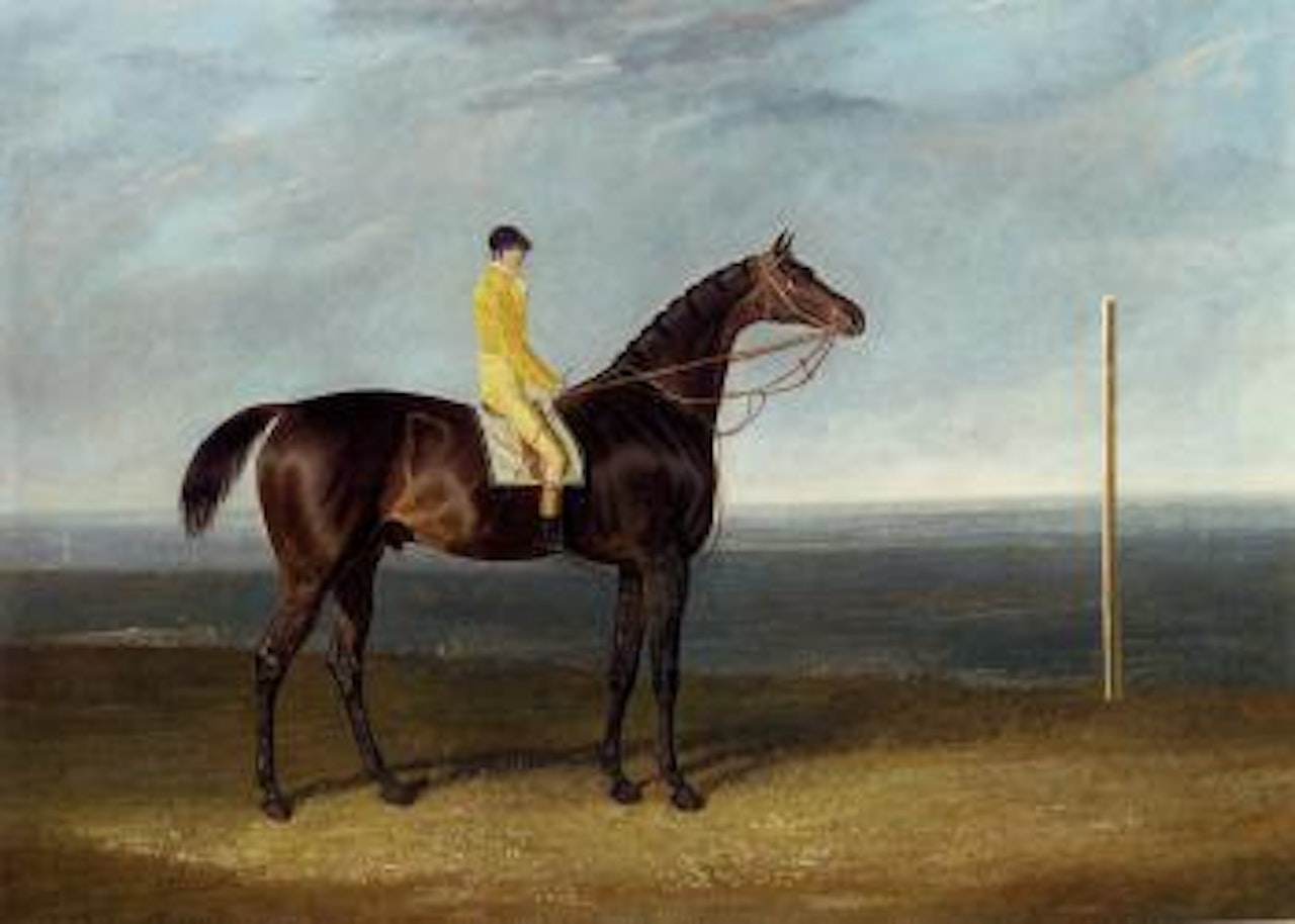 Jack Spigot, a dark bay racehorse with jockey up by John Frederick Herring