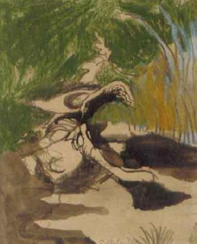 Tree form in garden by Graham Sutherland