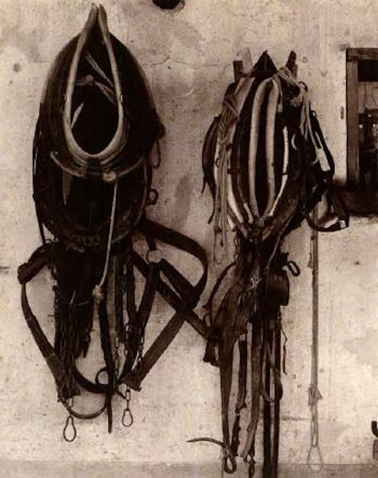 Harnesses, Apache-le-Bas, Haut Rhin by Paul Strand
