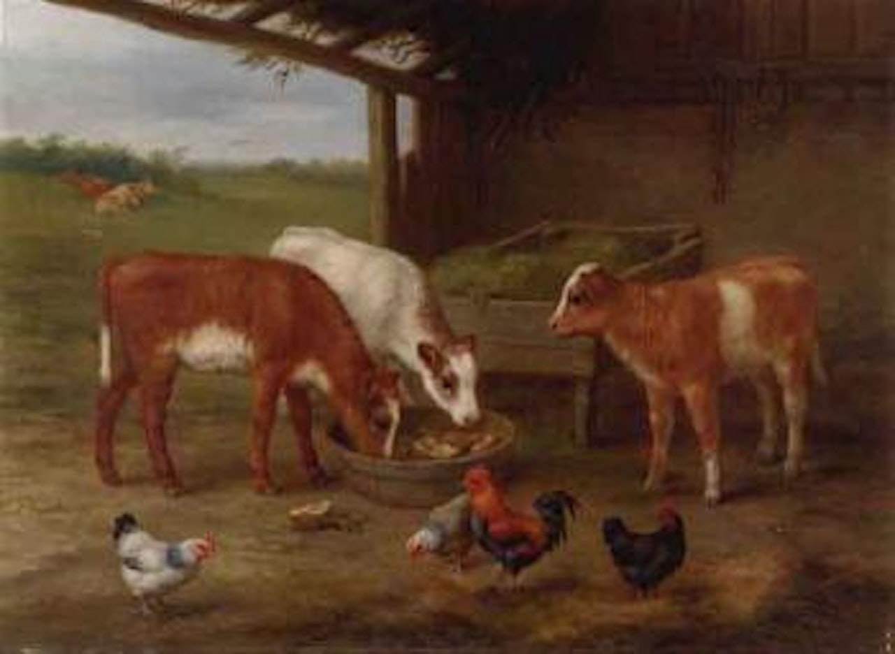 Calves and chickens by Edgar Hunt