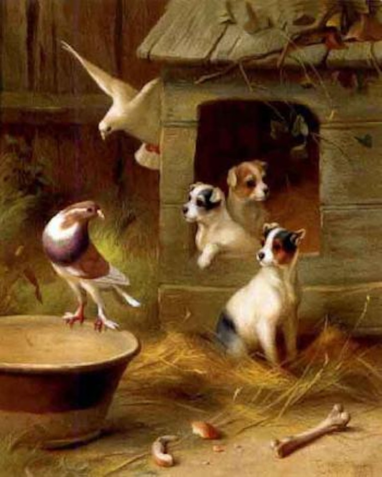 Pigeons and chickens. Pigeons and puppies by Edgar Hunt