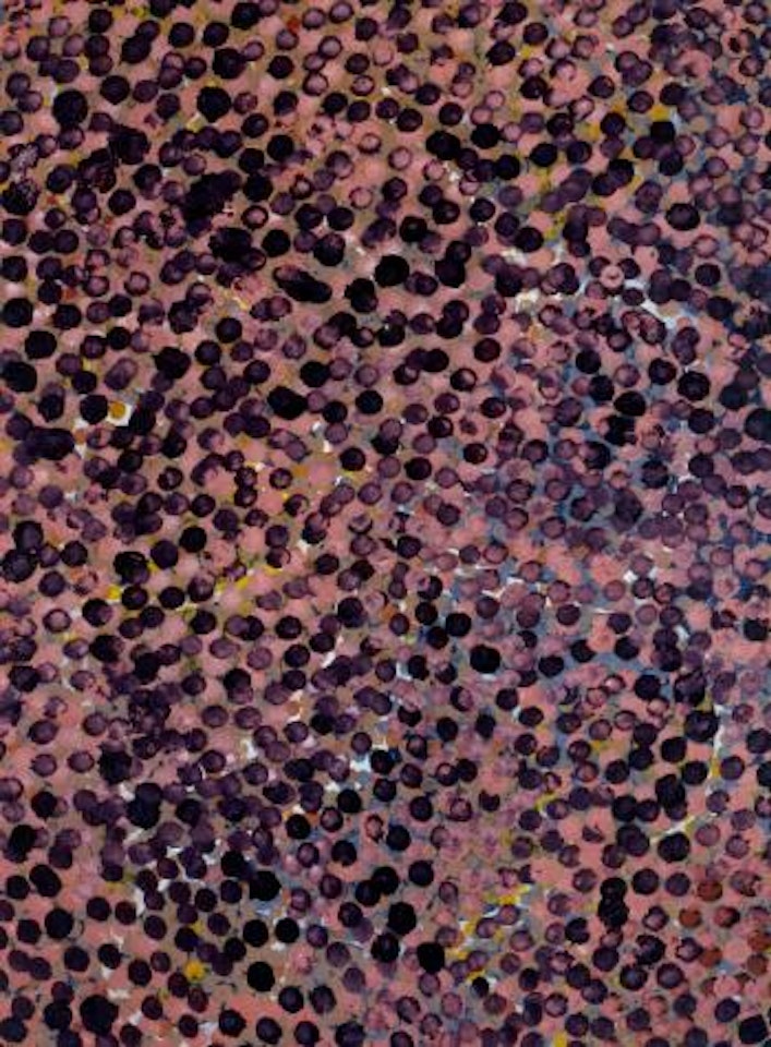 Untitled by Emily Kame Kngwarreye