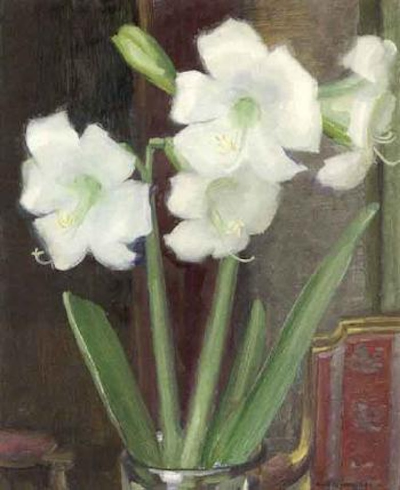 Still life of white amaryllis by Olle Hjortzberg