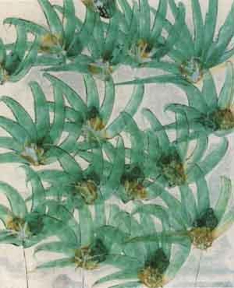 Wildflower by Sidney Nolan
