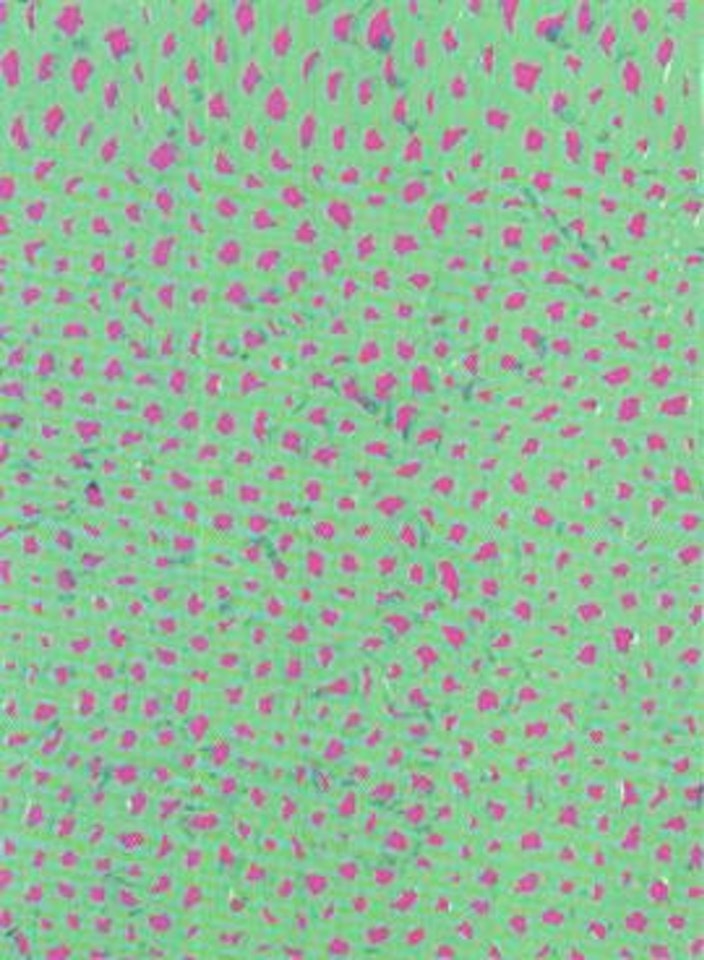 Accumulation by Yayoi Kusama