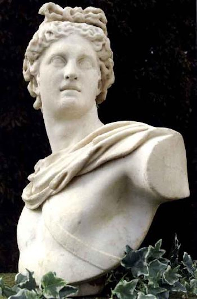 Bust of Apollo by Italian School