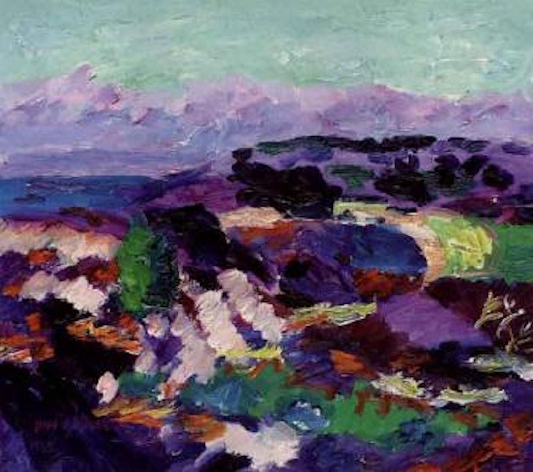 Landscape from Koster by Inge Schiöler
