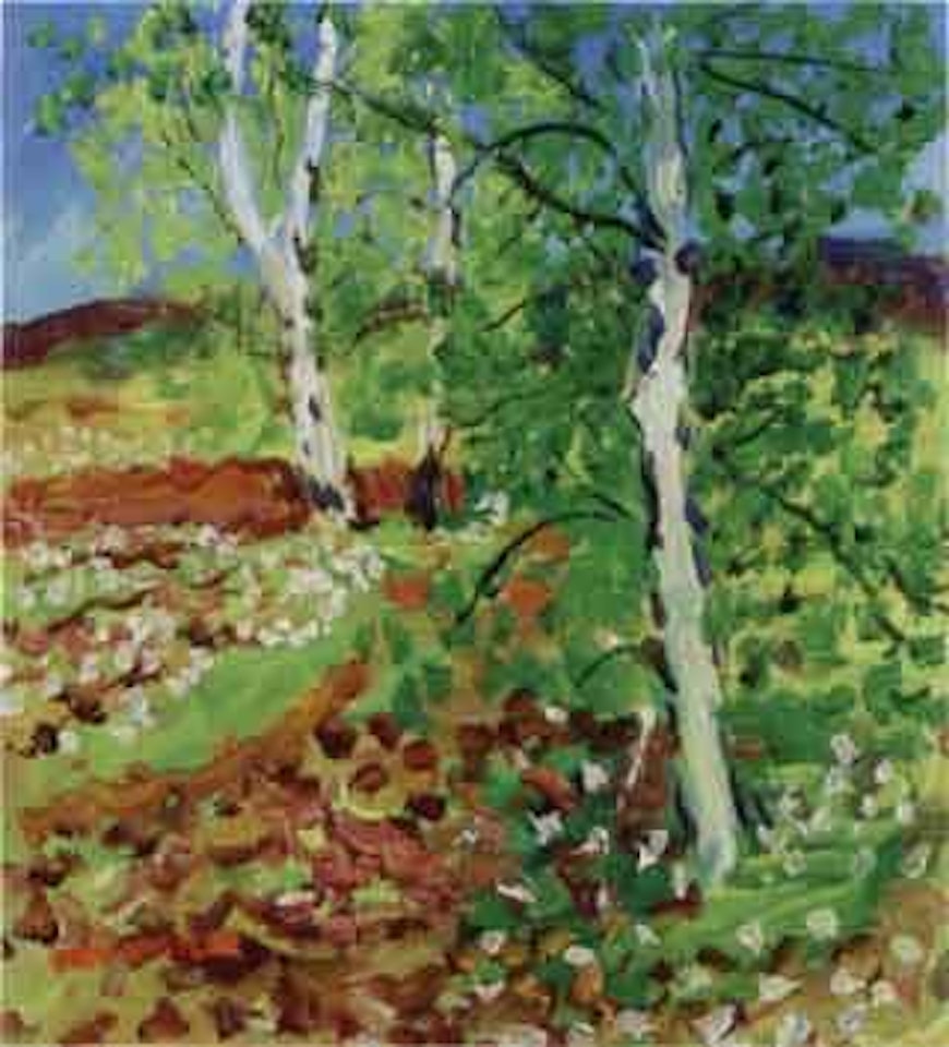 Silver birches by Inge Schiöler