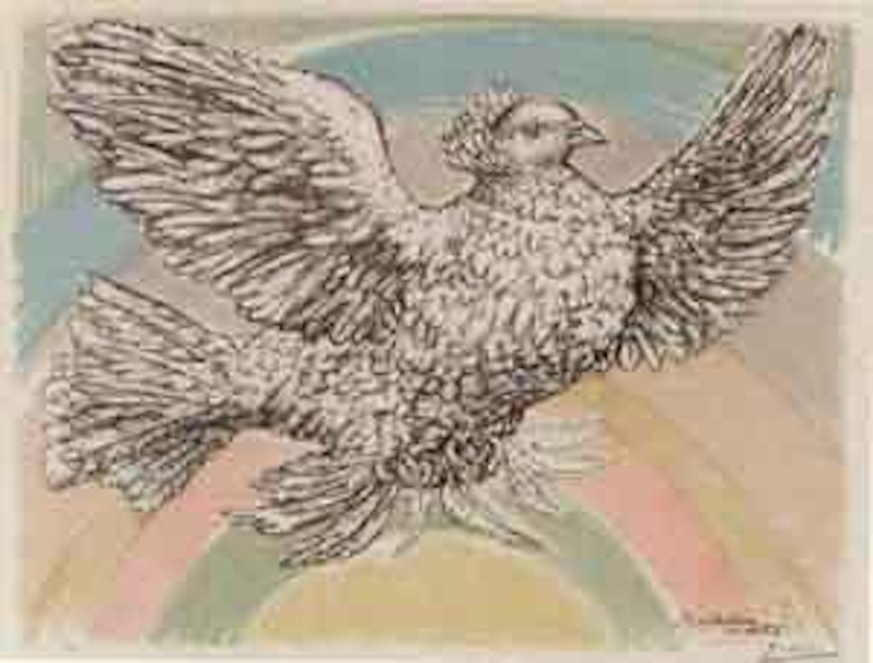 Colombe volant by Pablo Picasso