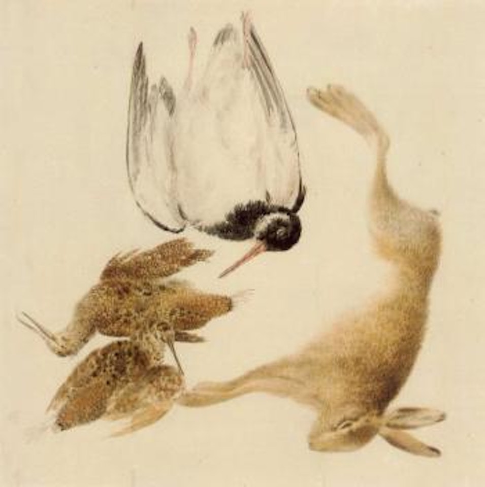 Study of dead game, woodcock, oyster catcher and hare by Joseph Mallord William Turner