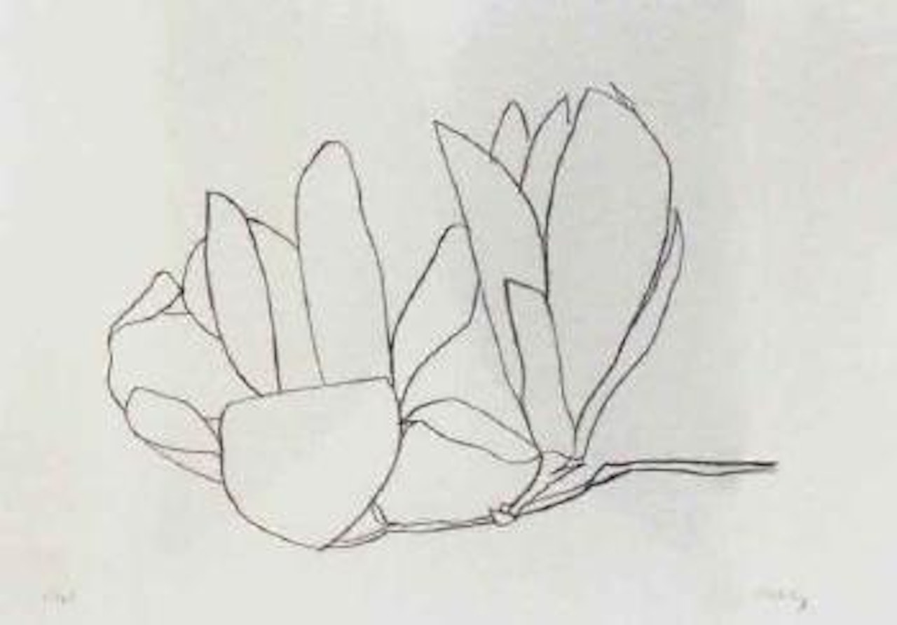 Magnolia by Ellsworth Kelly