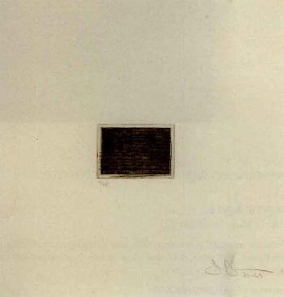 Flag by Jasper Johns