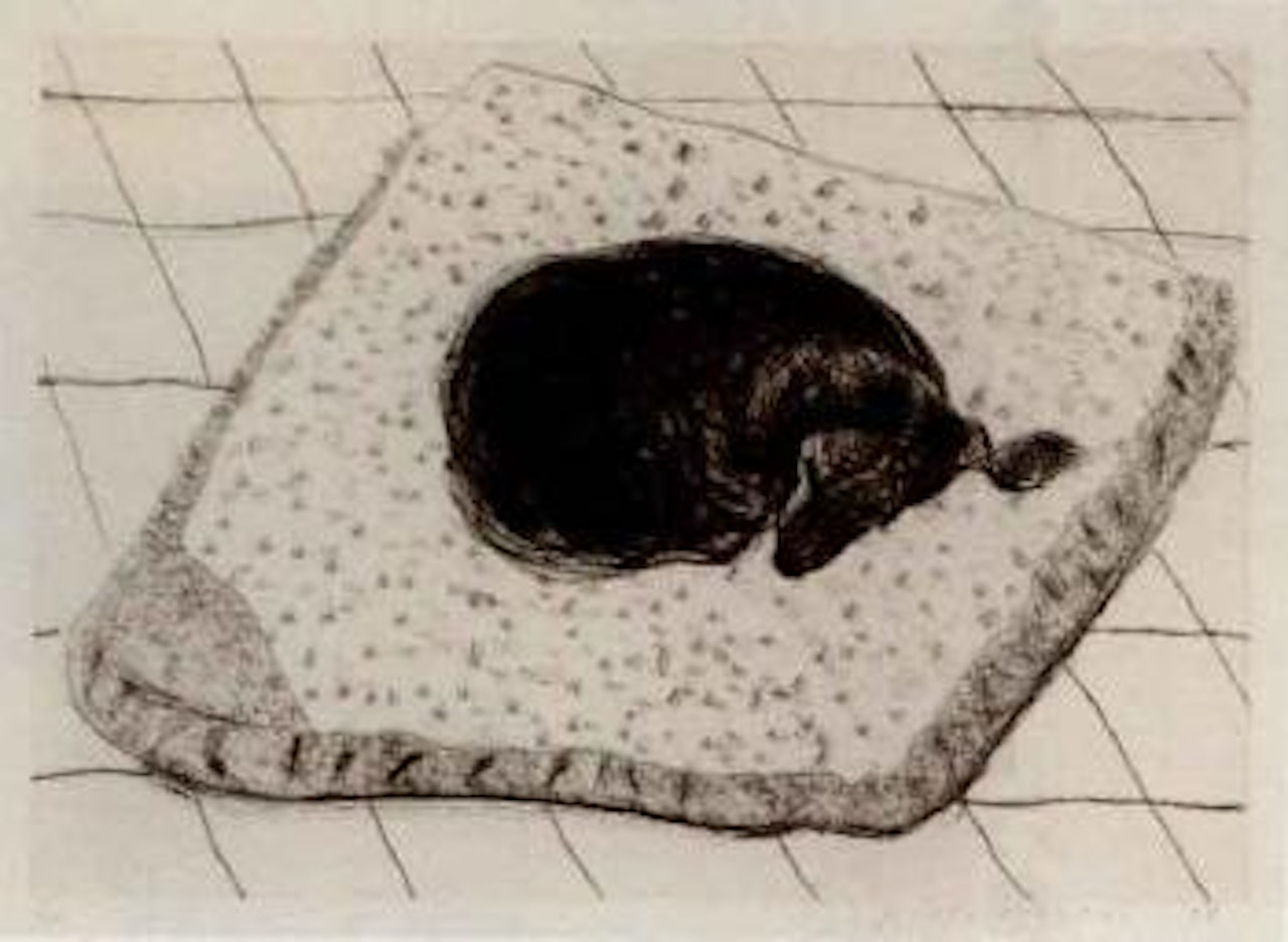 Dog etching no.4 by David Hockney