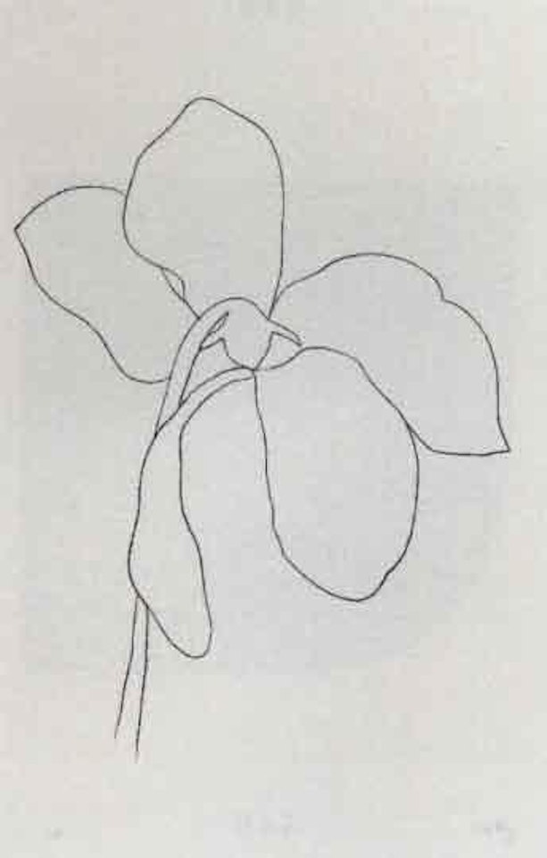 Cyclamen by Ellsworth Kelly