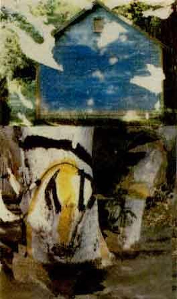 Recourse by Robert Rauschenberg