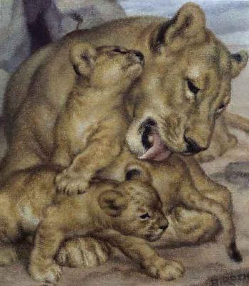 Lioness by Norbertine Bresslern-Roth
