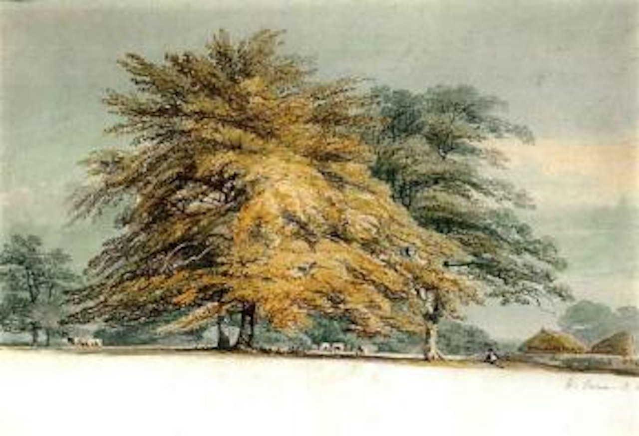 Beech copse near haystacks by Joseph Mallord William Turner