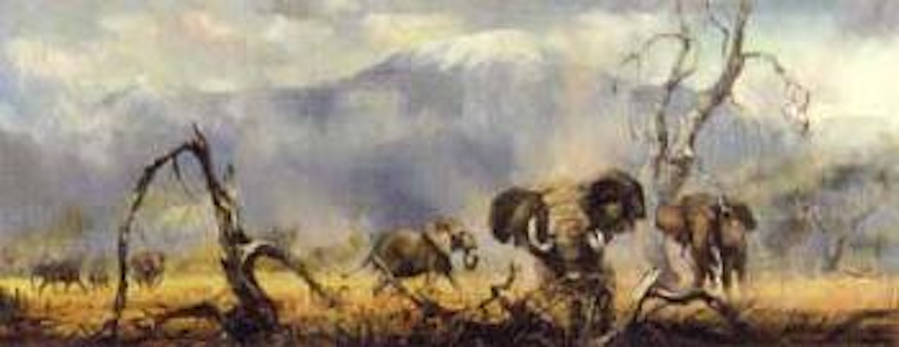 Elephants at Kilamanjaro by Kenneth Webb