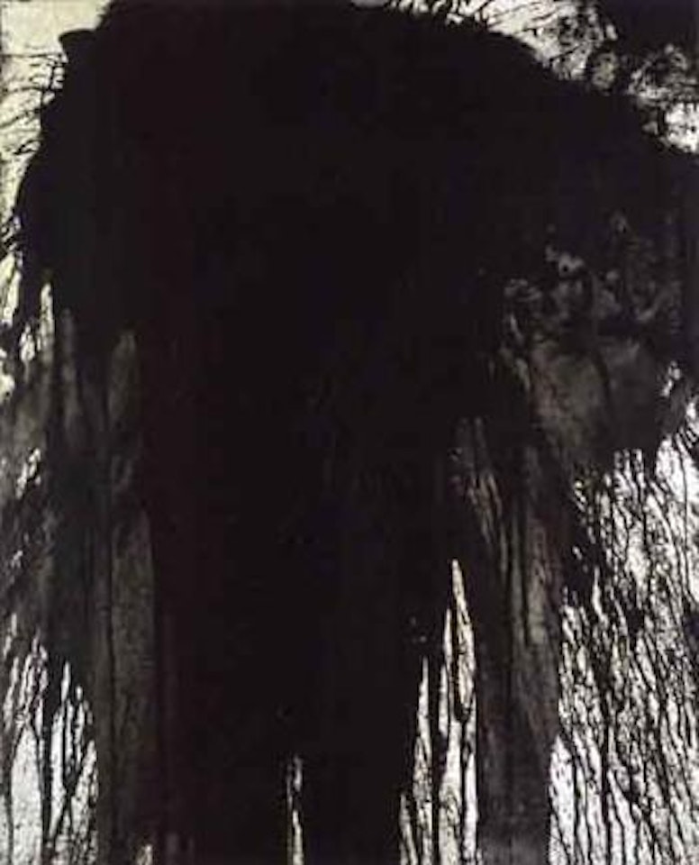 Spray picture by Hermann Nitsch