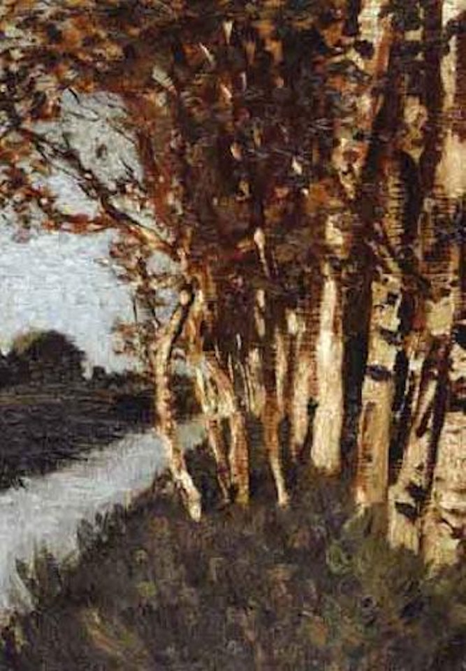 Trees by moorland canal by Hans am Ende