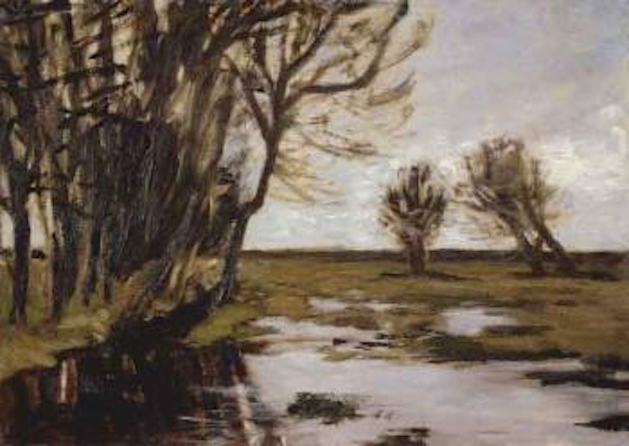 Flooded Hamme meadows by Hans am Ende
