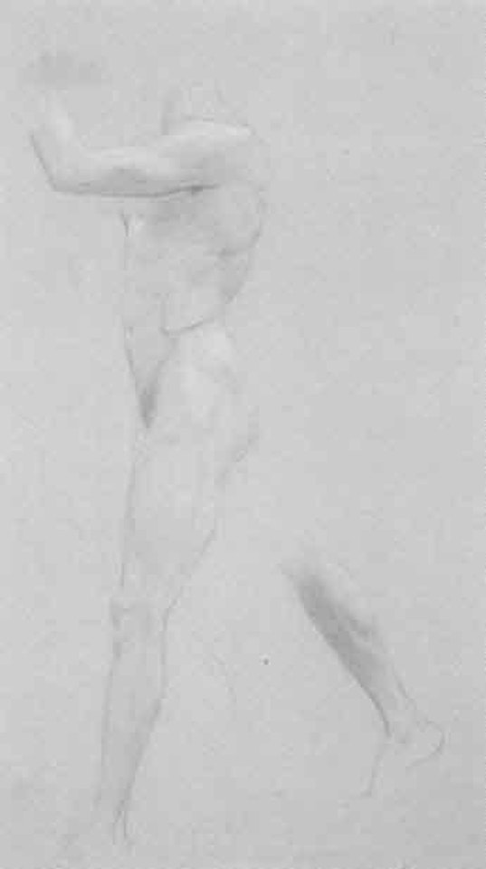 Male nude by Gustav Klimt