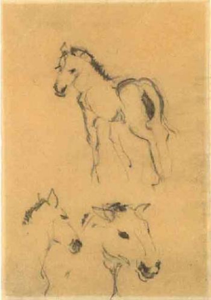 Study of a foal by Franz Marc