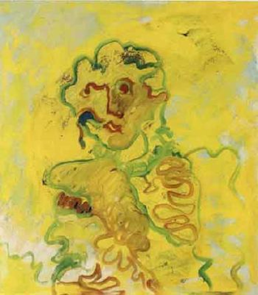 Duke of Wellington by Tano Festa