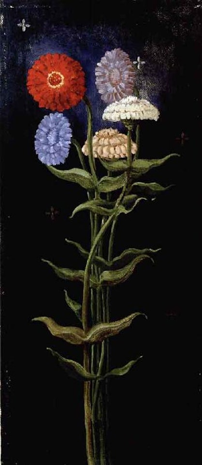 Zinnias by Franz Radziwill