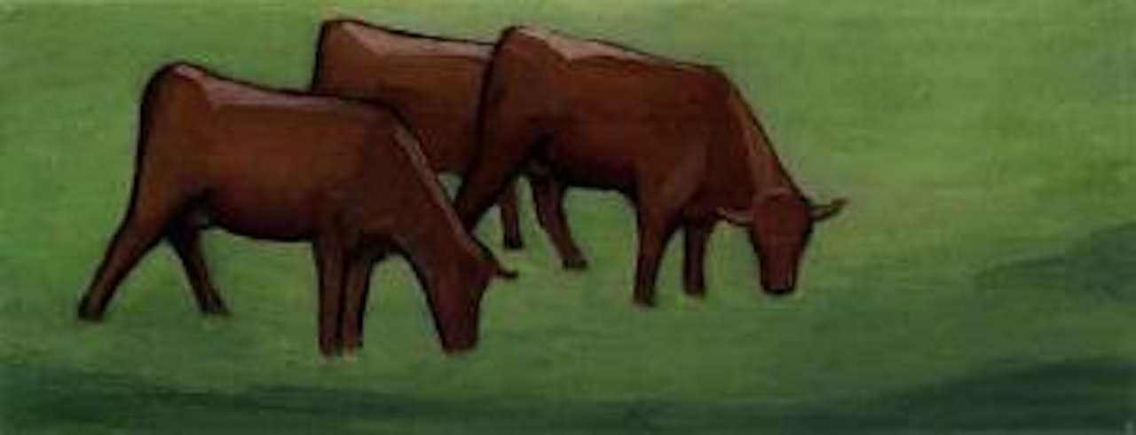 Three cows in a field by Gabriele Münter