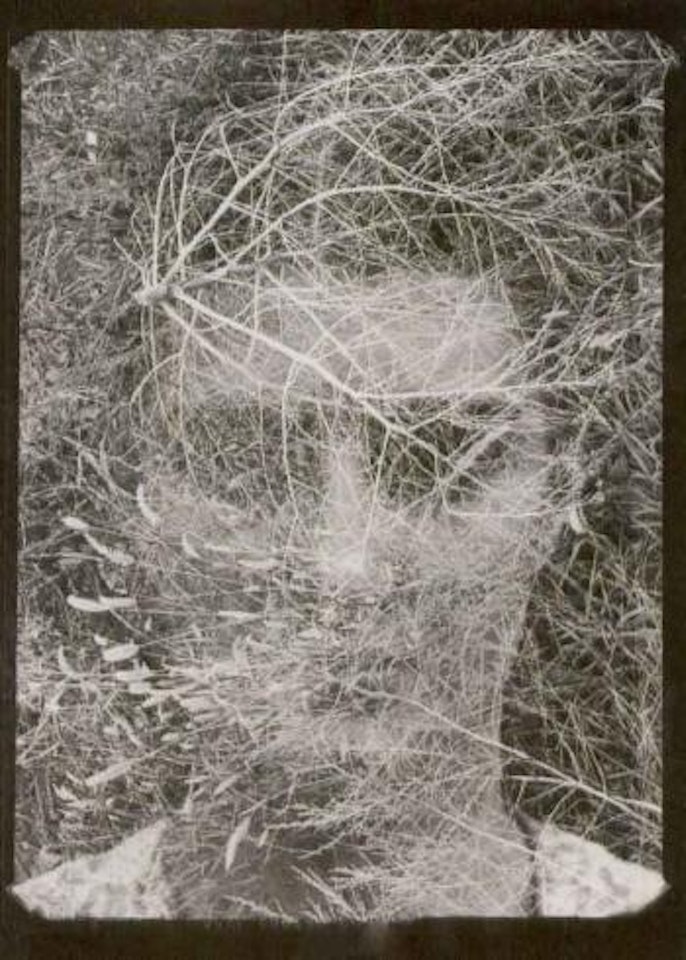 Eleanor, Detroit 1948 by Harry Callahan