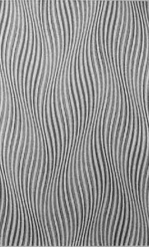 Elapse by Bridget Riley