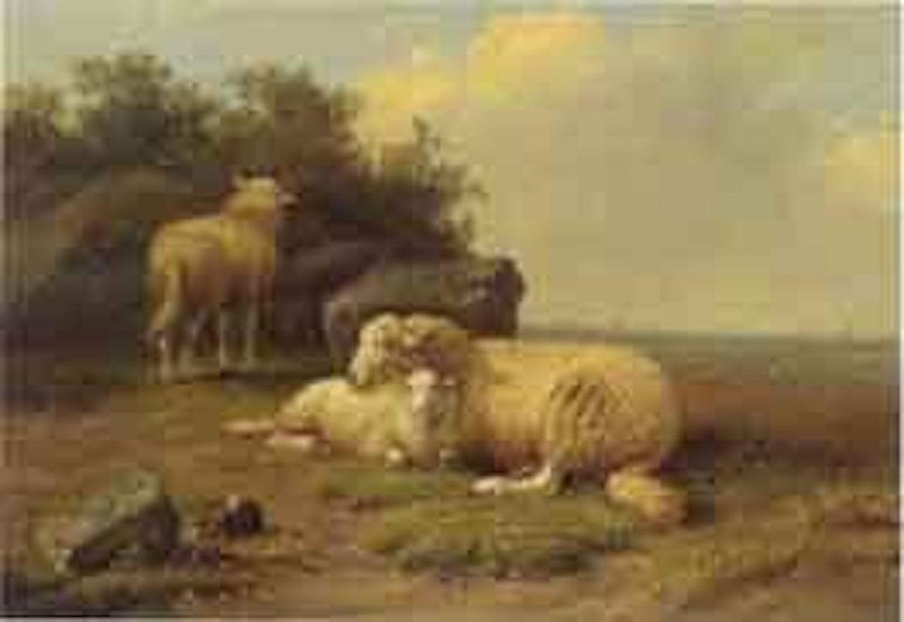 Sheep in the meadow by Eugène Joseph Verboeckhoven