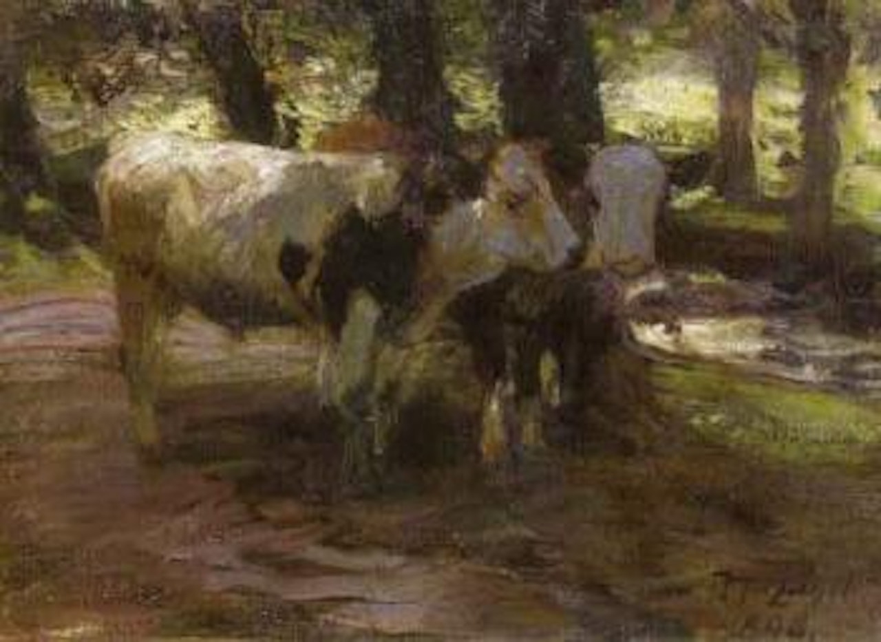 Two bullocks under trees by Heinrich von Zugel