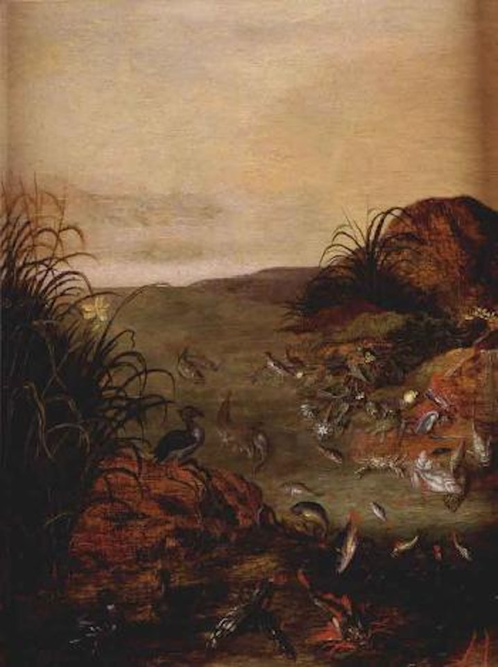 Landscape with fish and birds by Jan Van Kessel The Elder