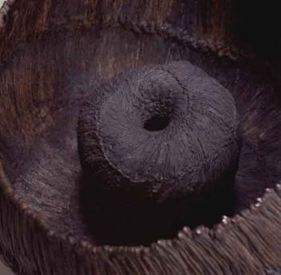 Untitled by Harry Bertoia