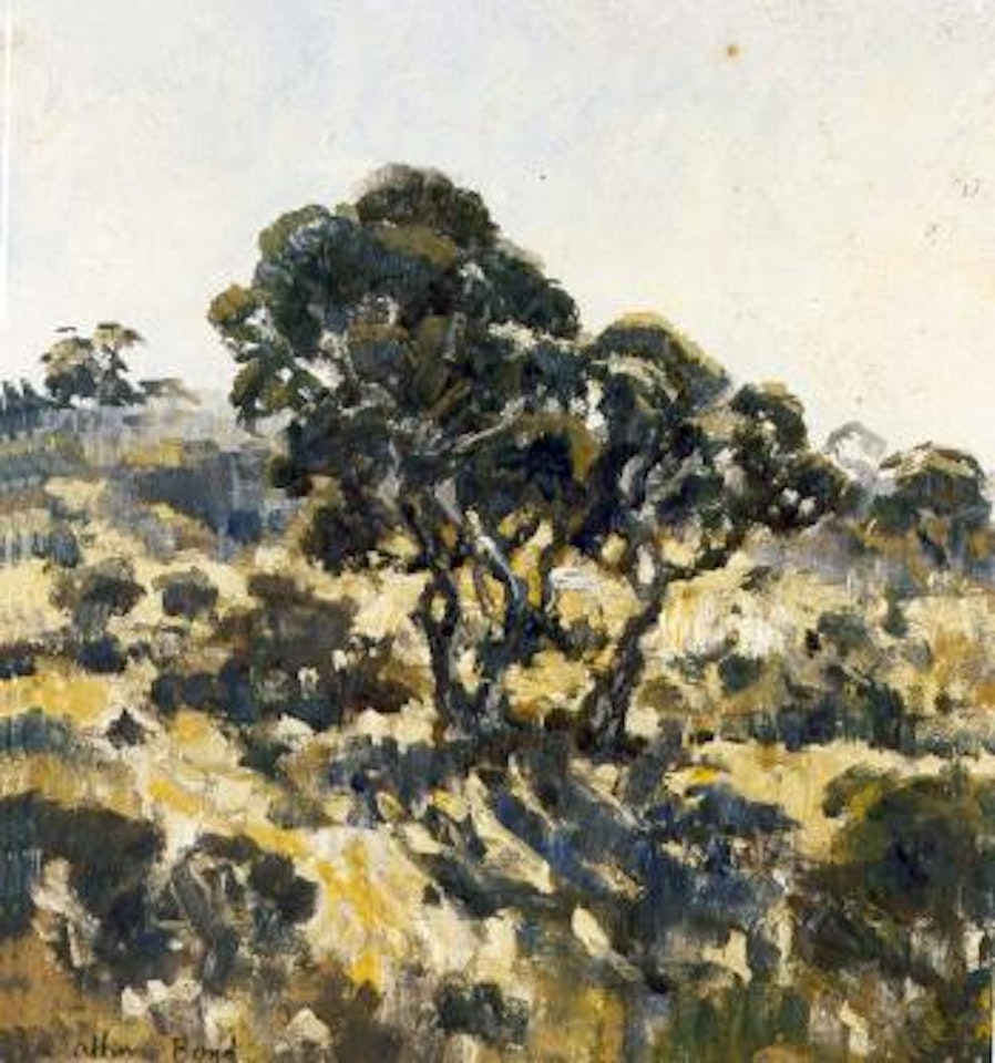 Field at Murrumbeena by Arthur Merric Bloomfield Boyd