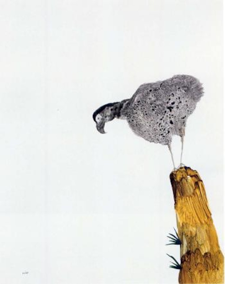 Bird and rock by Sidney Nolan