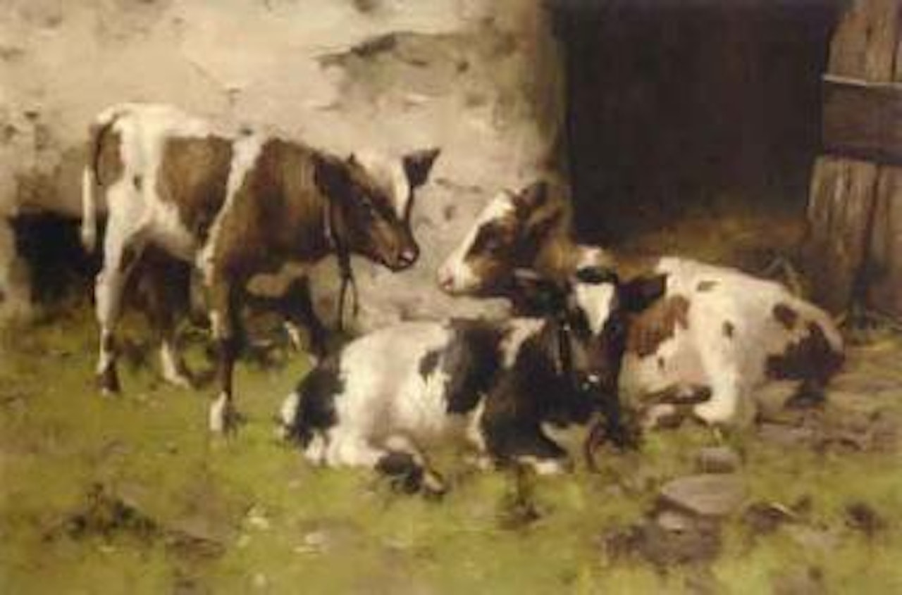 First steps by David Gauld