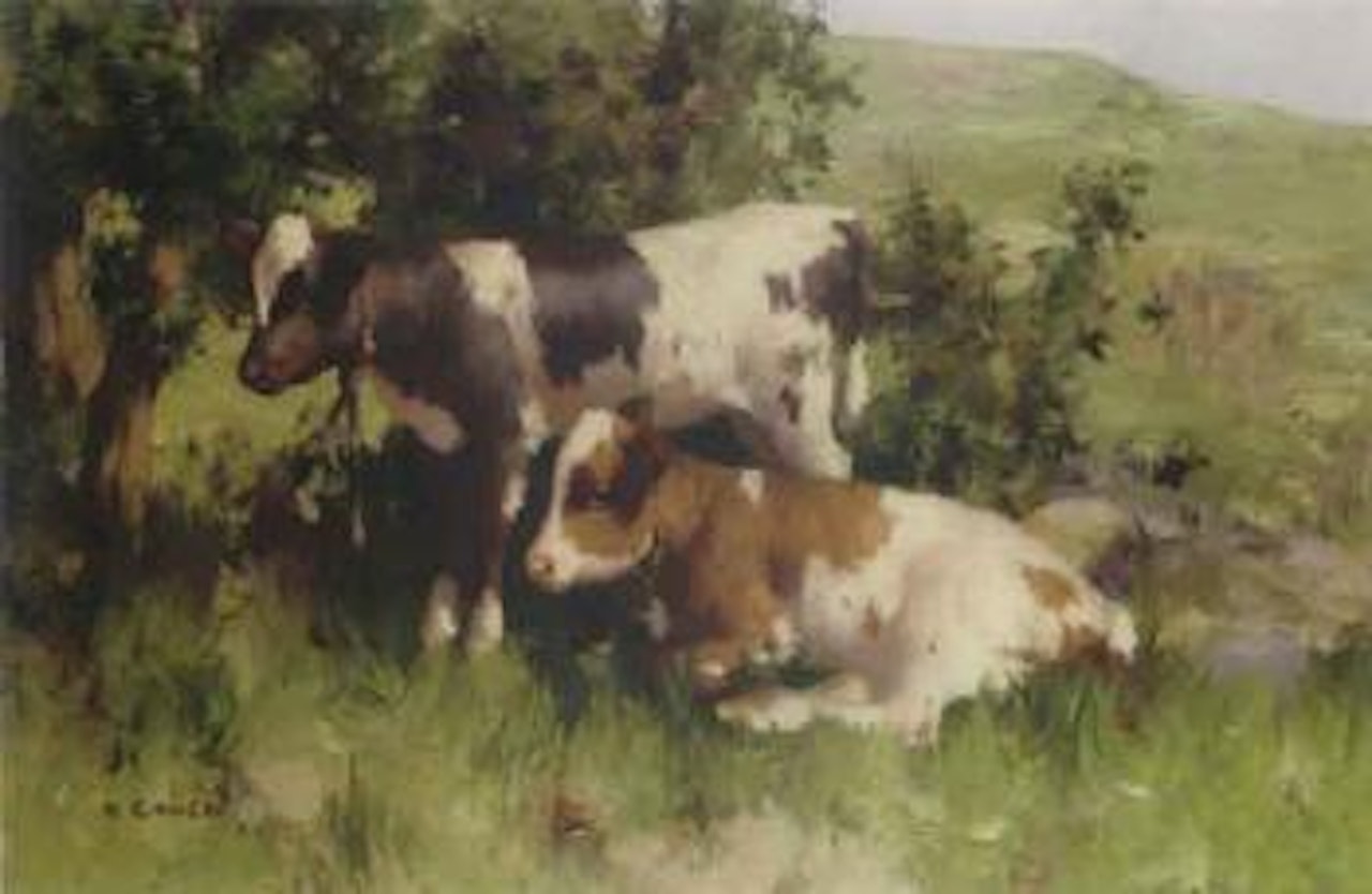Summer shade by David Gauld