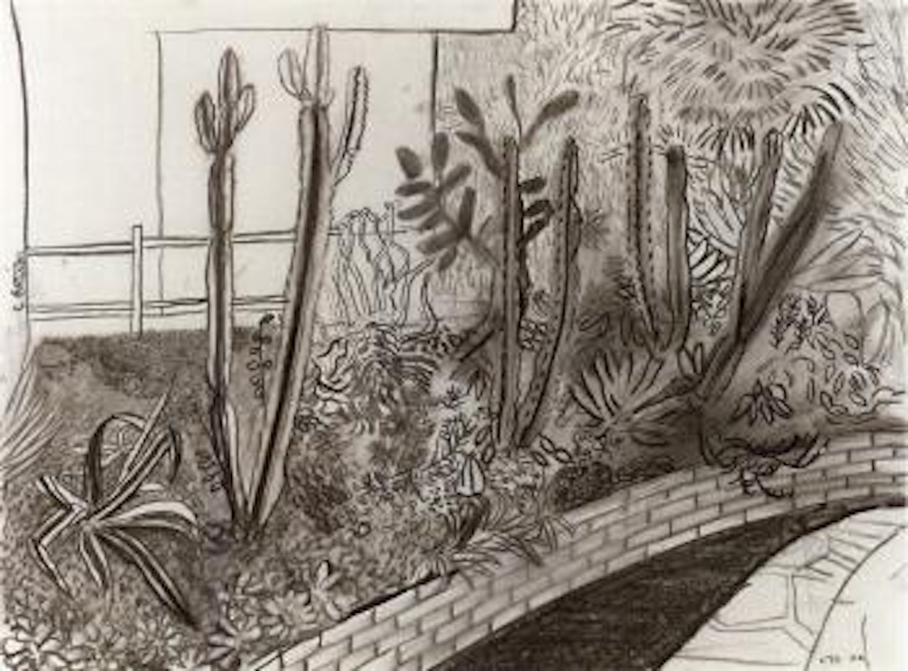 Cactus garden by David Hockney
