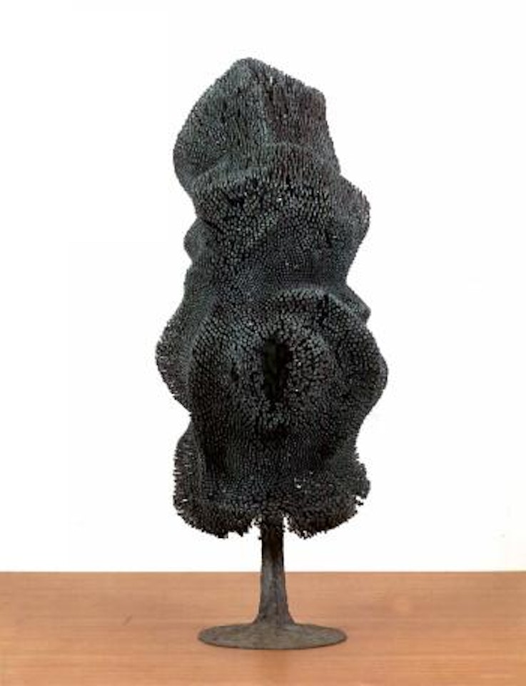 Large bush form by Harry Bertoia
